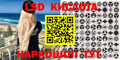 мдпв Бийск