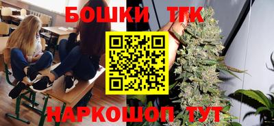 мдпв Бийск