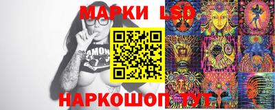 мдпв Бийск