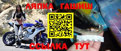 мдпв Бийск