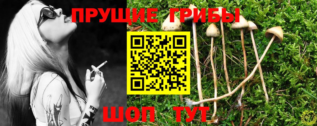 Псилоцибиновые грибы прущие грибы  Вход с VPN  Галлюциногенные грибы Magic Shrooms  Владимир 