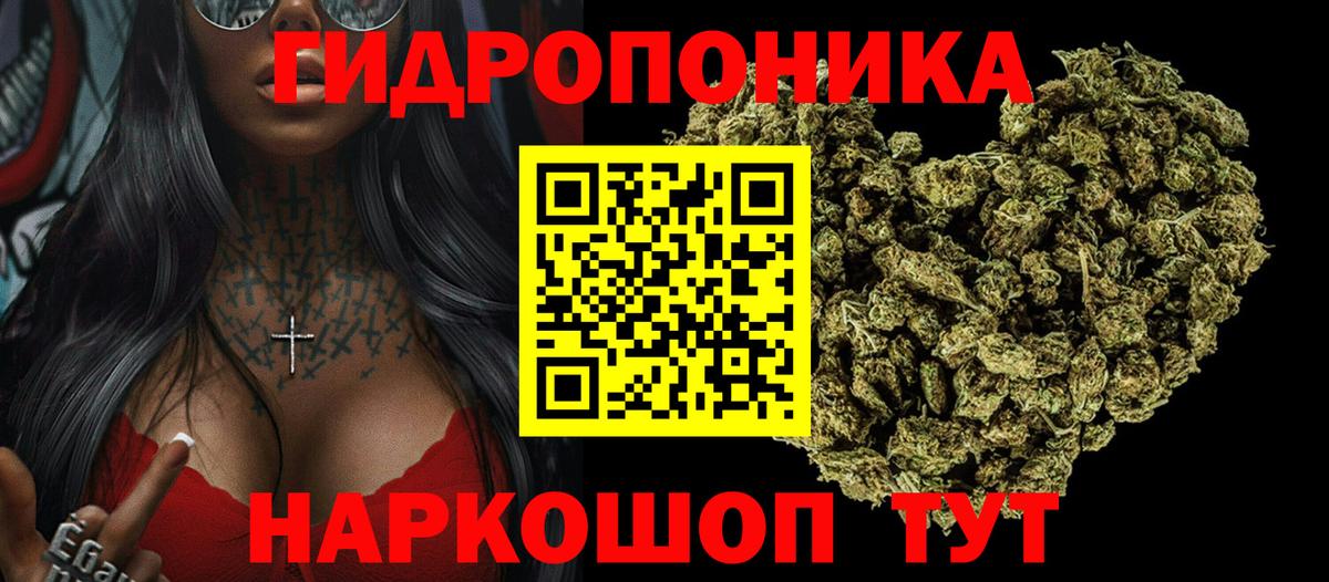 Бошки марихуана OG Kush  Каннабис OG Kush  Вход с VPN  Владимир 